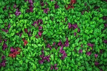 OK jigsaw puzzle