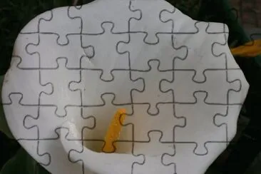 cartucgo blanco jigsaw puzzle