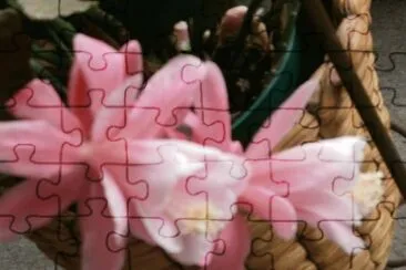 flor de cactus jigsaw puzzle