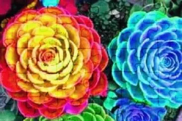  jigsaw puzzle