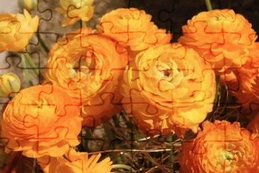  jigsaw puzzle