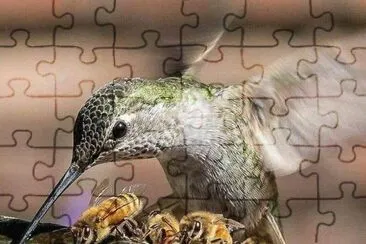 פאזל של imagem