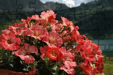 OK jigsaw puzzle