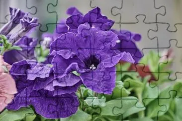 פאזל של 