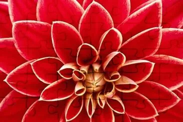 OK jigsaw puzzle