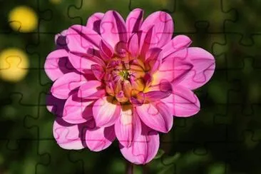 OK jigsaw puzzle
