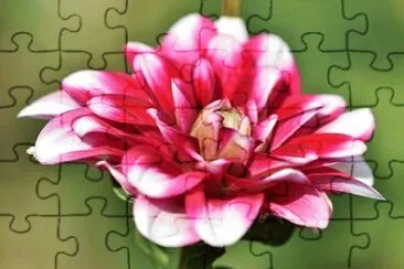OK jigsaw puzzle