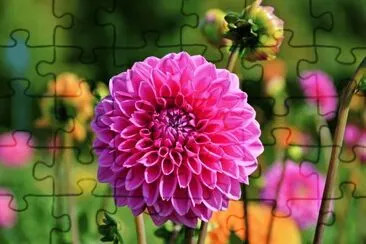 OK jigsaw puzzle