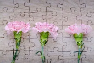 OK jigsaw puzzle