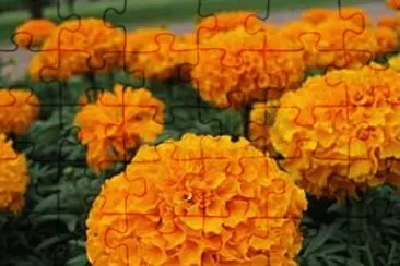 OK jigsaw puzzle
