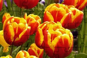OK jigsaw puzzle