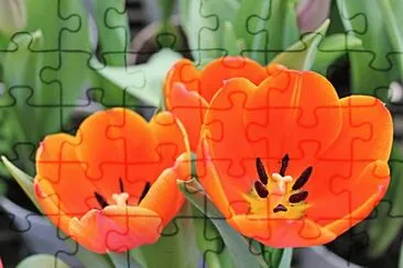 OK jigsaw puzzle