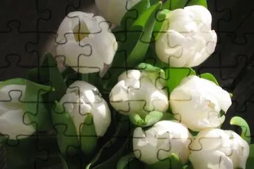 OK jigsaw puzzle