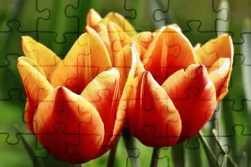OK jigsaw puzzle