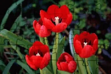 OK jigsaw puzzle