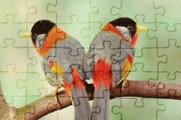 Imagem jigsaw puzzle