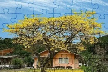 Foto jigsaw puzzle