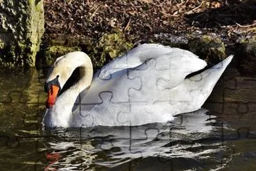 Foto jigsaw puzzle