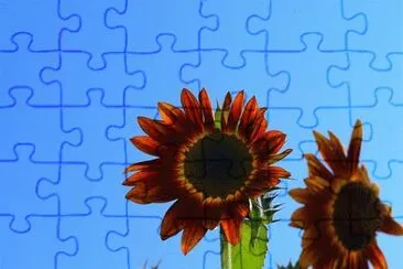 OK jigsaw puzzle