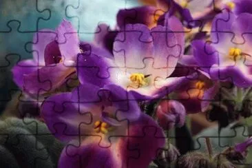 OK jigsaw puzzle