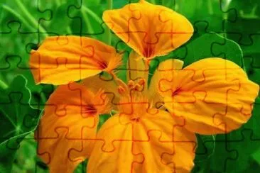 OK jigsaw puzzle