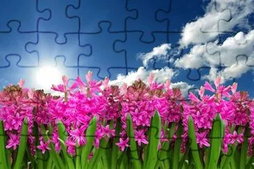 OK jigsaw puzzle
