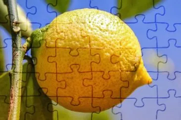 Foto jigsaw puzzle