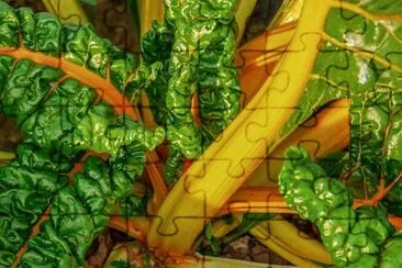 Foto jigsaw puzzle