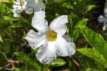 OK jigsaw puzzle
