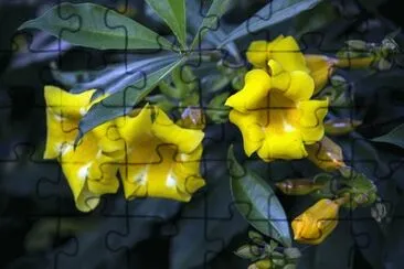 OK jigsaw puzzle