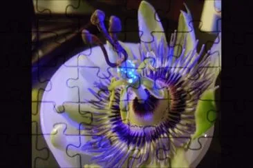 OK jigsaw puzzle