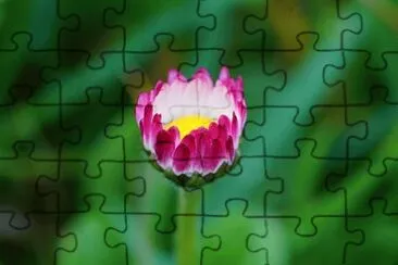 OK jigsaw puzzle