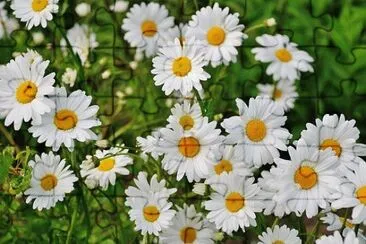 OK jigsaw puzzle