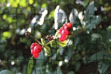 OK jigsaw puzzle