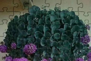  jigsaw puzzle