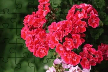 OK jigsaw puzzle