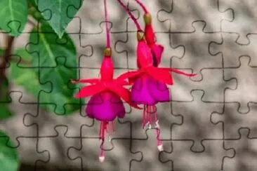 OK jigsaw puzzle