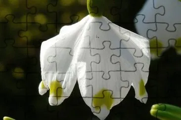 OK jigsaw puzzle