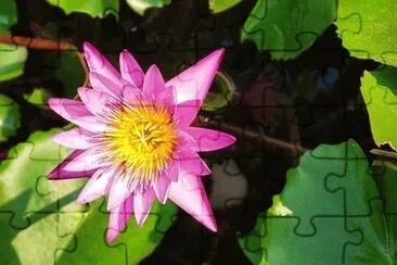 OK jigsaw puzzle