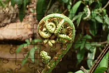 0K jigsaw puzzle