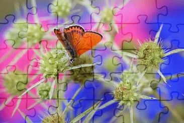 0K jigsaw puzzle
