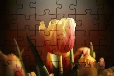 0K jigsaw puzzle