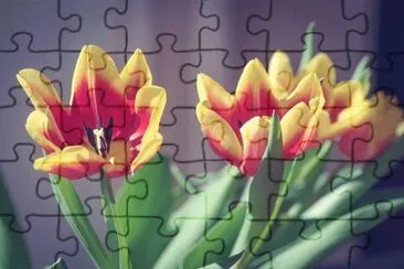 0K jigsaw puzzle
