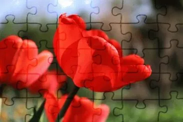 OK jigsaw puzzle