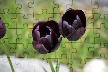 0K jigsaw puzzle