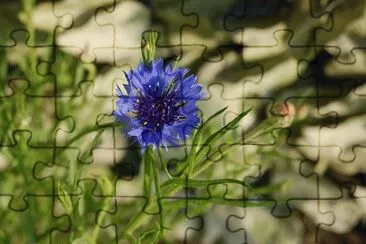 0K jigsaw puzzle