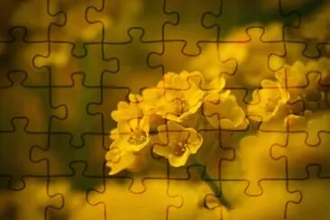 0K jigsaw puzzle