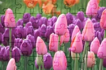 0K jigsaw puzzle