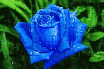 0K jigsaw puzzle