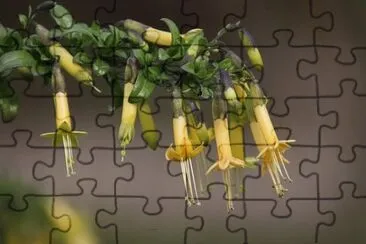 0K jigsaw puzzle